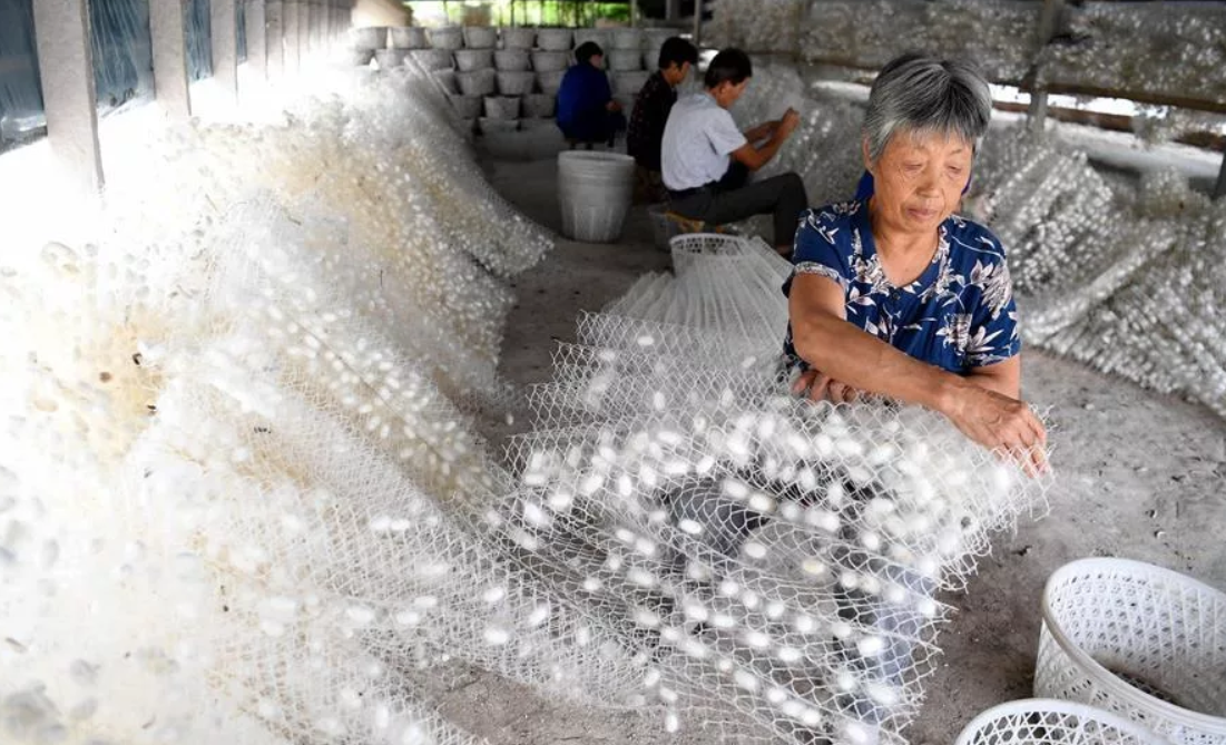 Что такое китайская вышивка шелком и как её выполнять?