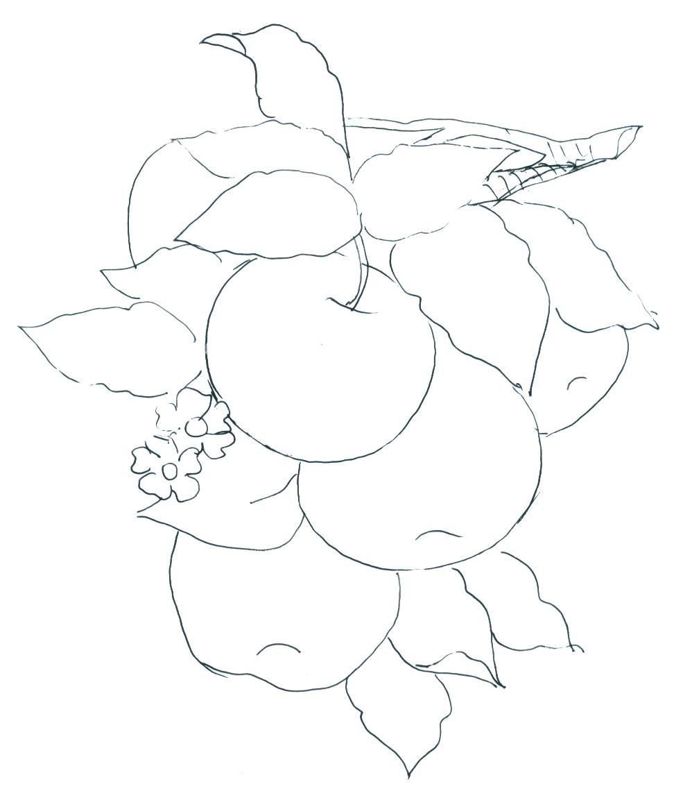 Батик для начинающих: мастер-класс по росписи шелка дома. батик: виды, краска, ткани, картины, панно, трафареты, эскизы, рамки, идеи, фото. холодный, горячий, узелковый батик: техника выполнения для начинающих темы для батика