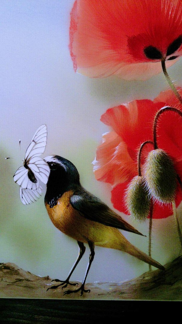 Китайская живопись на шёлке от украинской художницы алины осеевой