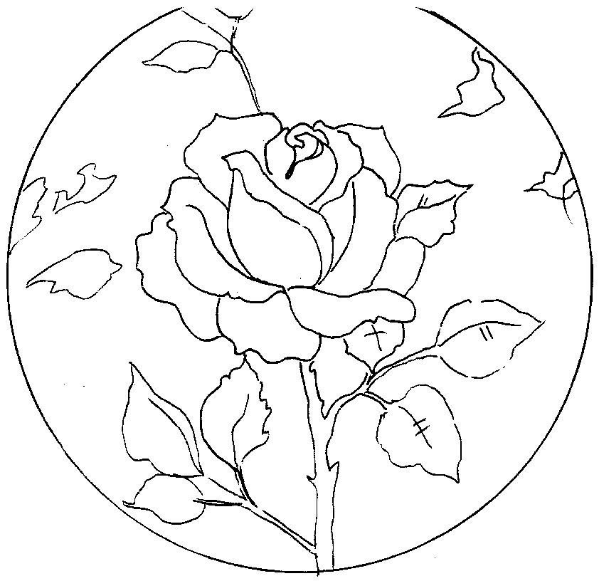 Батик для начинающих: мастер-класс по росписи шелка дома