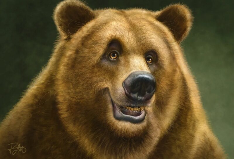 Кинусайга: что это? - клуб рукоделия три иголки