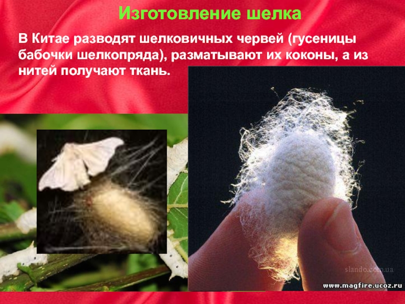 Китайский шелк – история протяженностью в тысячи лет