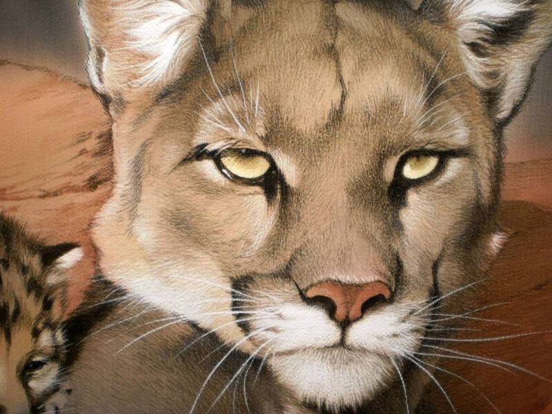 Китайская живопись на шёлке от украинской художницы алины осеевой