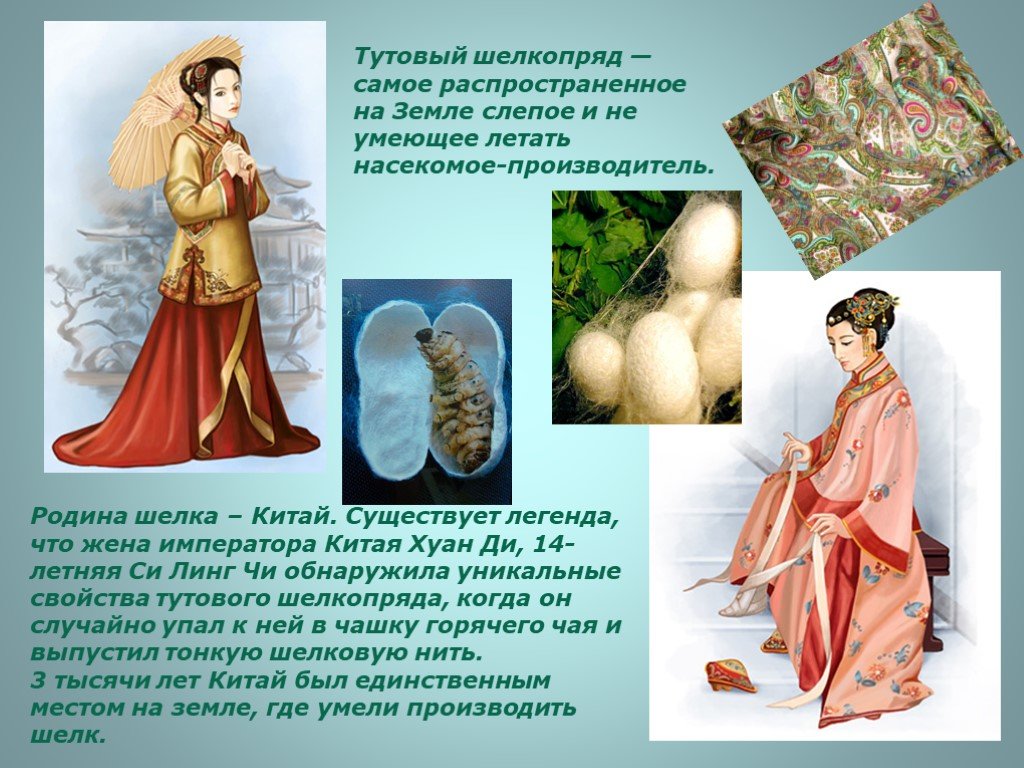 Из чего делают шелк? шелк в древнем китае