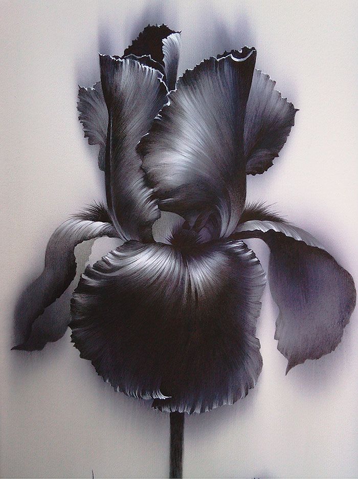 Художник осеева алина