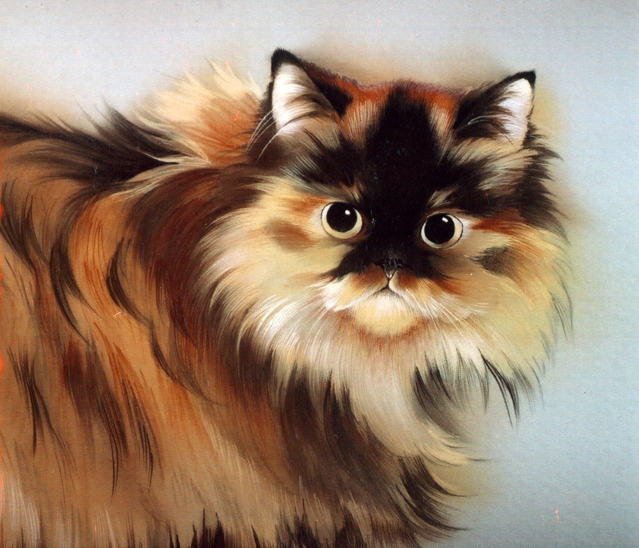 Художник шелков