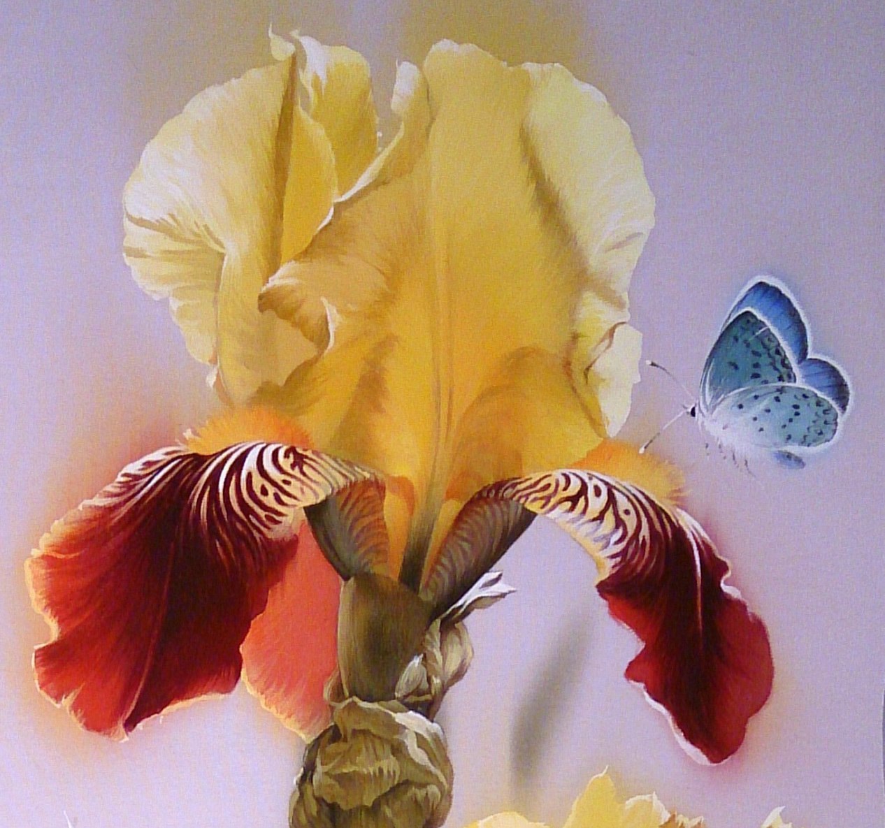 Китайская живопись на шёлке от украинской художницы алины осеевой