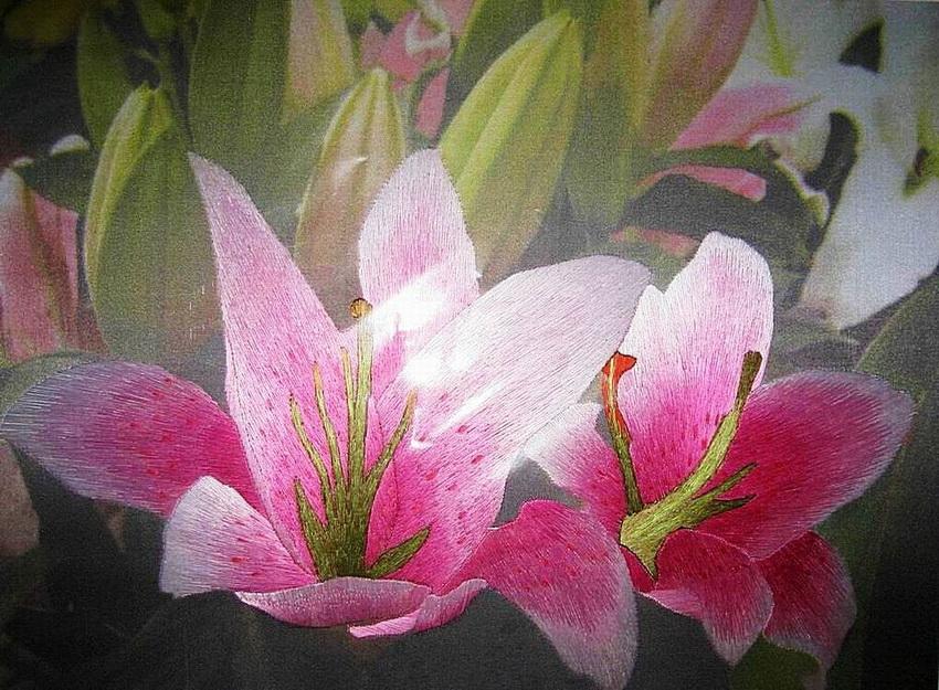 Вышивка шелком по шелку что это такое (фото)