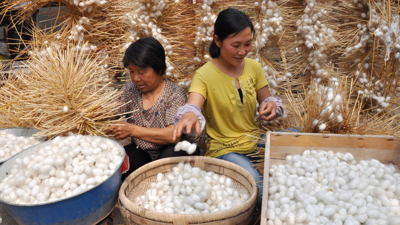 Китайский шёлк. cекреты изготовления качественного шёлка ▲