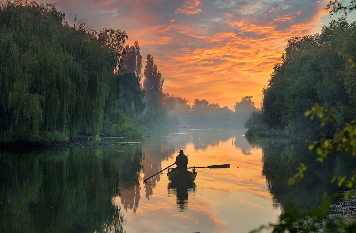 Ткани шелк с рисунком