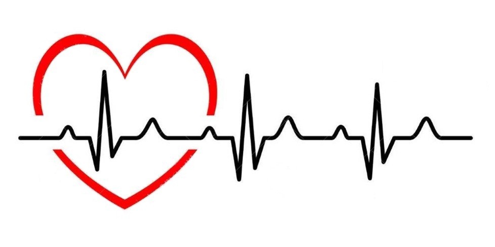 Искусство вышивки шелком по шелку